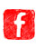 Facebook Link